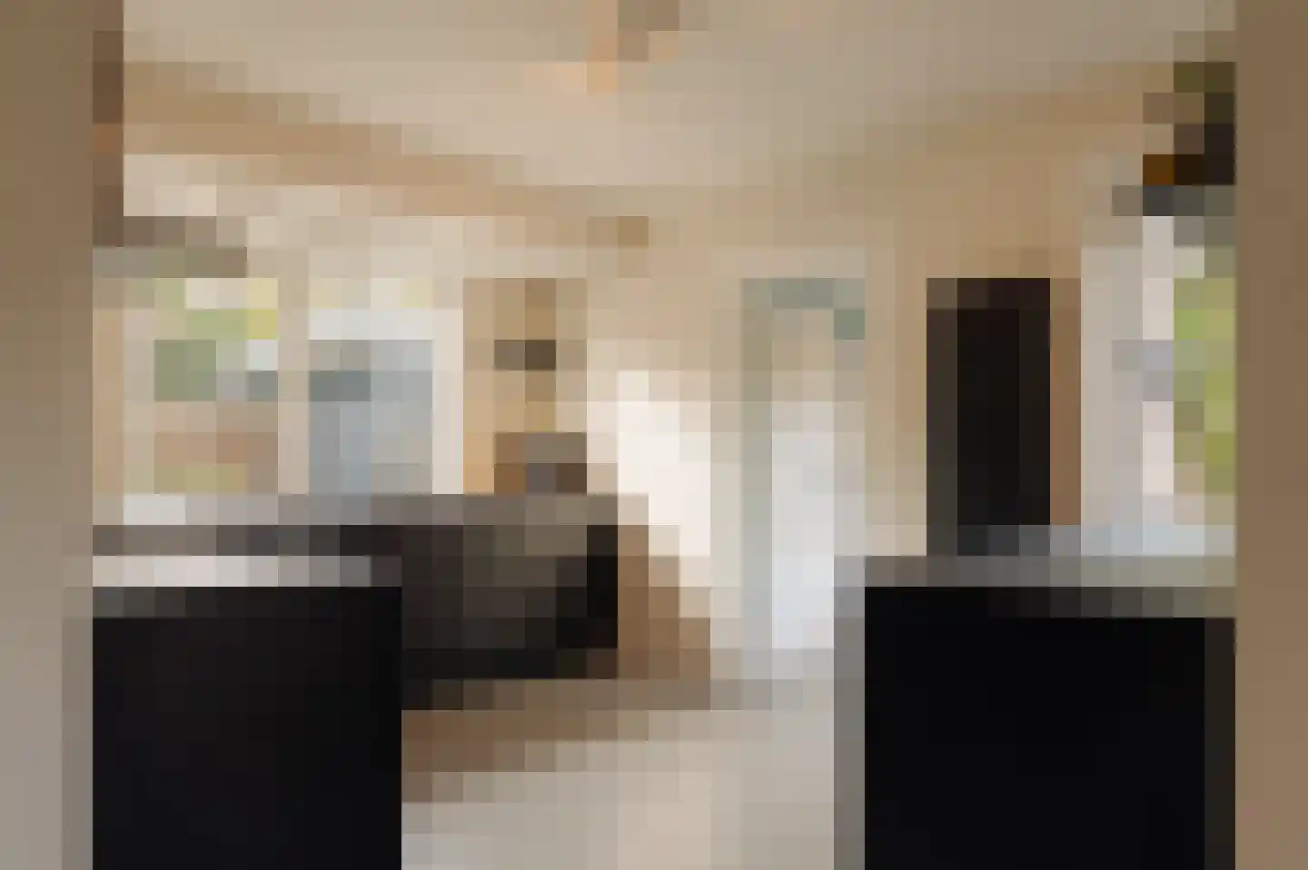 Van Hogendorplaan 10 Huizen thumbnail 8