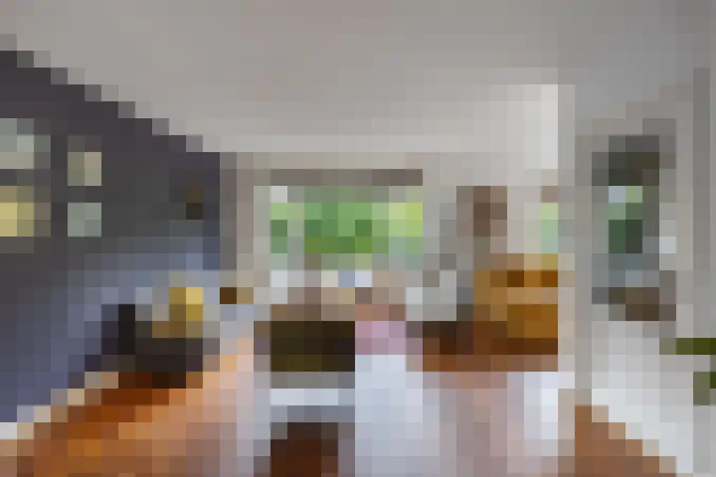 Van Hogendorplaan 10 Huizen thumbnail 8