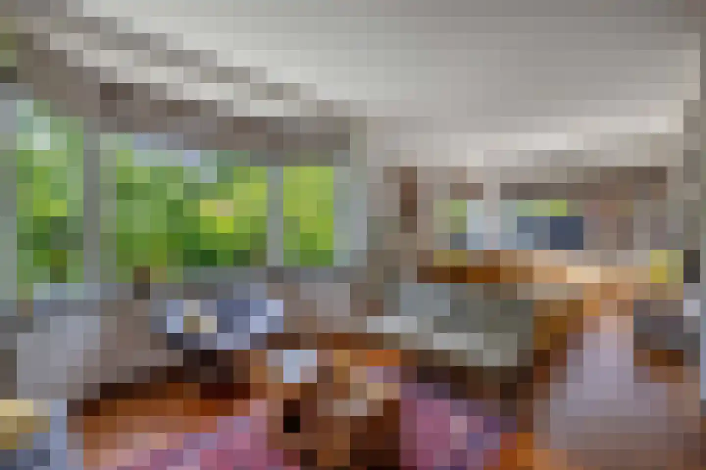 Van Hogendorplaan 10 Huizen thumbnail 9