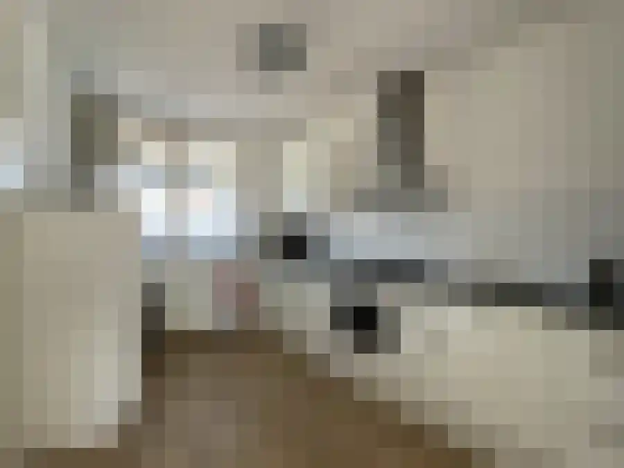 van Hogendorplaan 110 Vlaardingen thumbnail 6