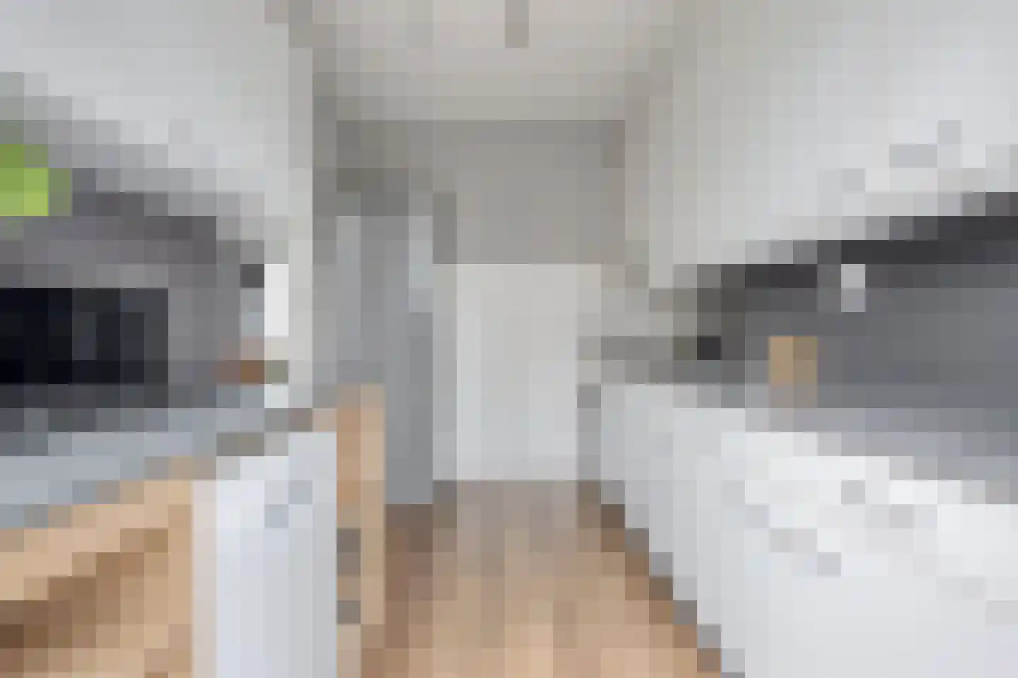 Van Hogendorplaan 12 Goes thumbnail 18
