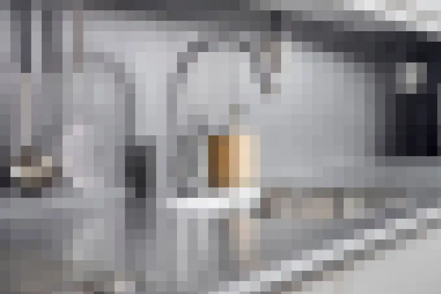 Van Hogendorplaan 12 Goes thumbnail 20