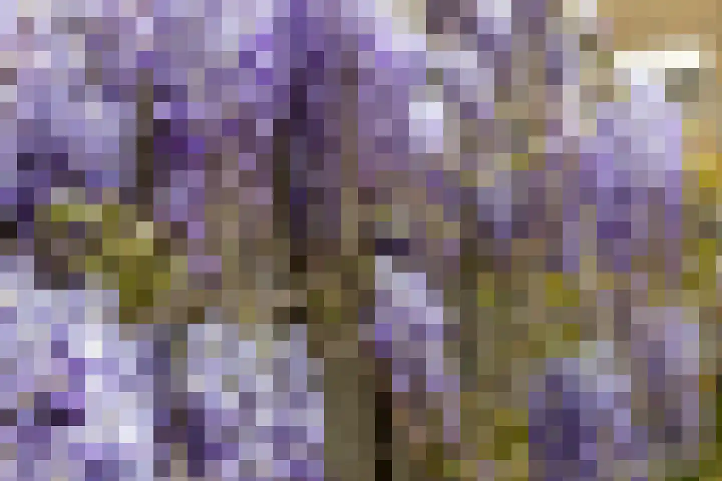 Van Hogendorplaan 12 Goes thumbnail 38
