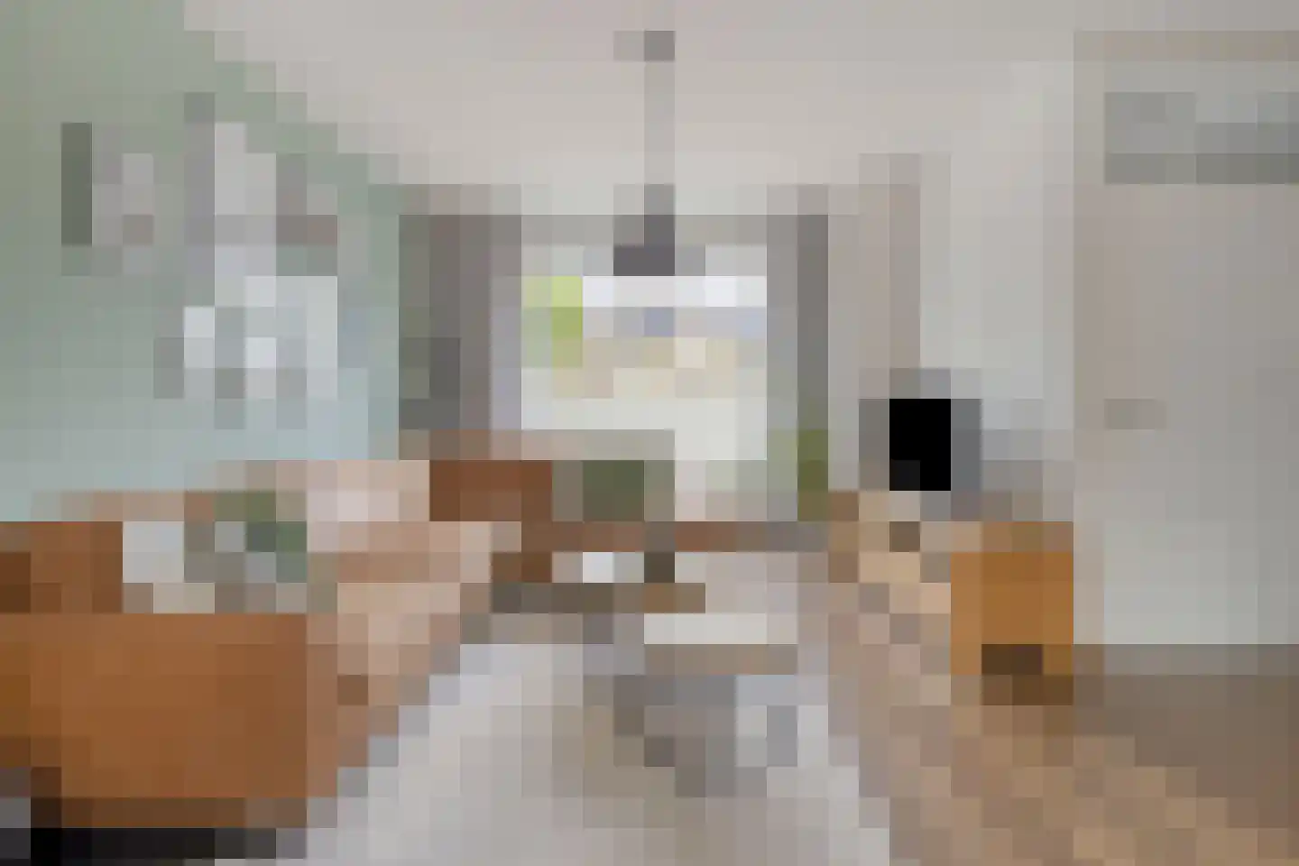 Van Hogendorplaan 12 Goes thumbnail 7