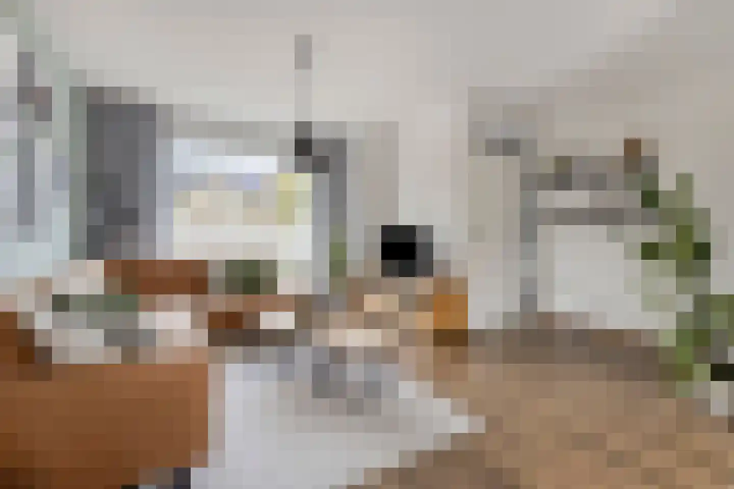 Van Hogendorplaan 12 Goes thumbnail 8