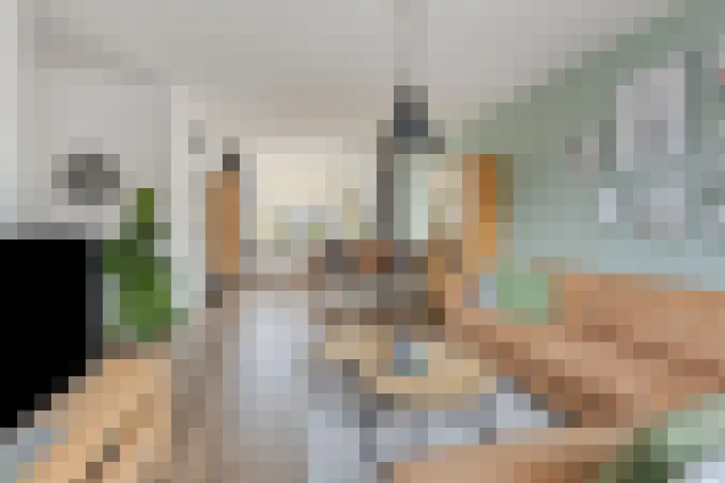 Van Hogendorplaan 12 Goes thumbnail 9