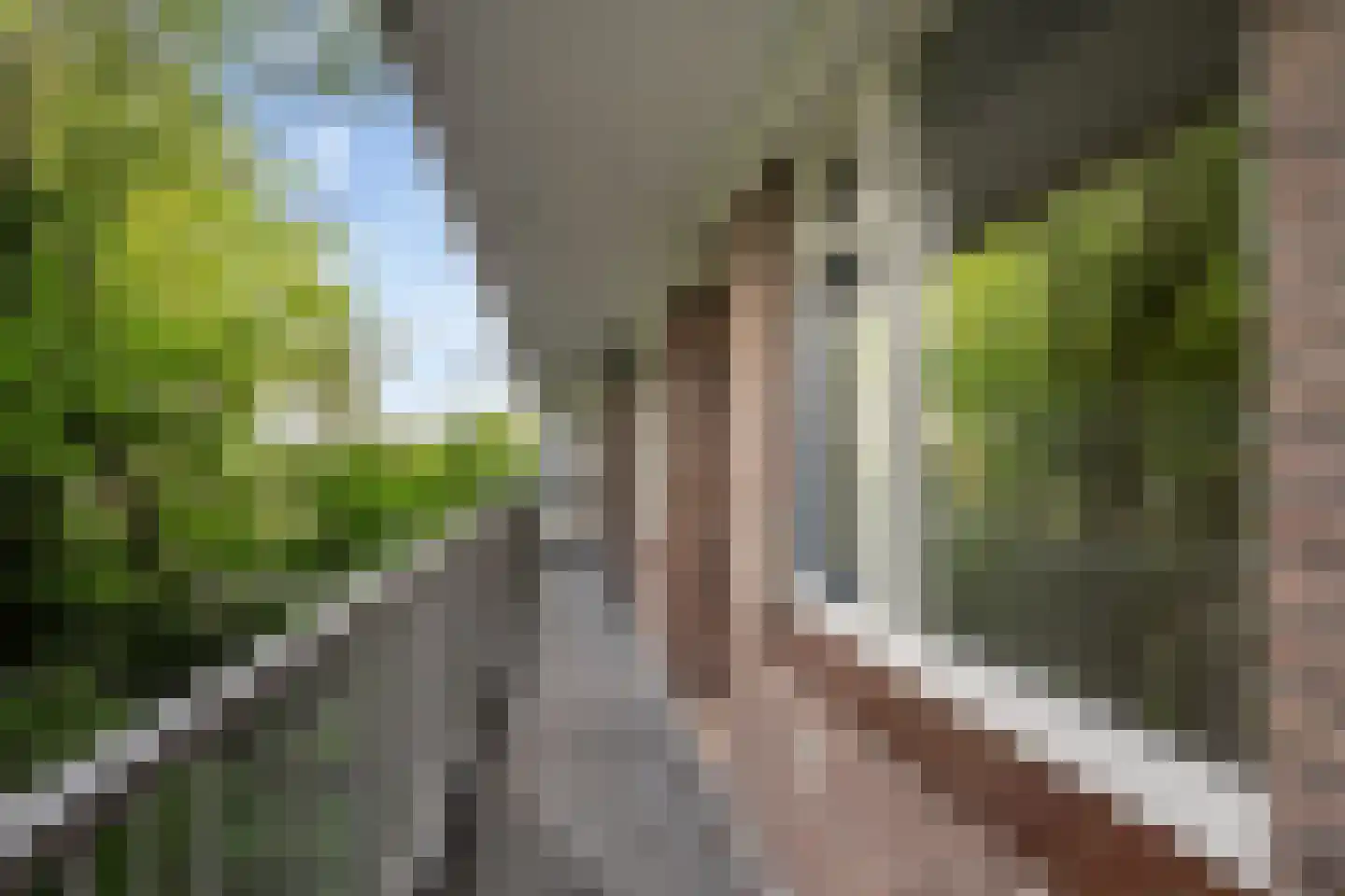 van Hogendorplaan 144 D Vlaardingen thumbnail 7