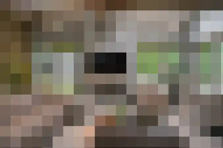Van Hogendorplaan 15 Vlijmen thumbnail 10