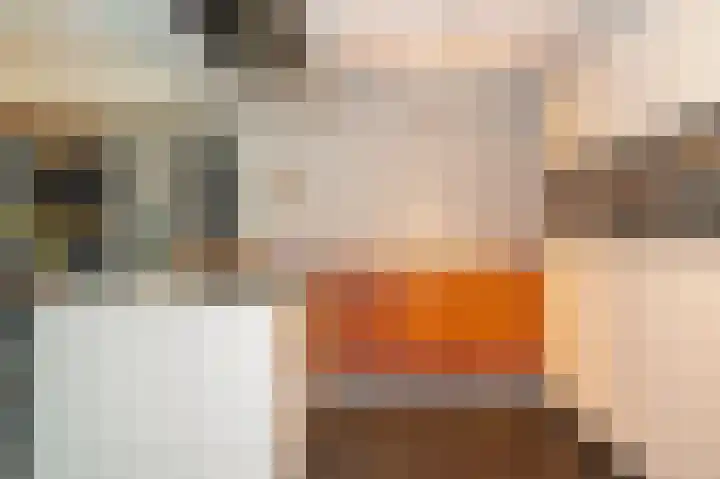 Van Hogendorplaan 15 Vlijmen thumbnail 13