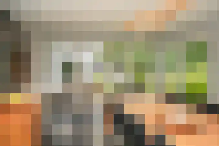 Van Hogendorplaan 15 Vlijmen thumbnail 16