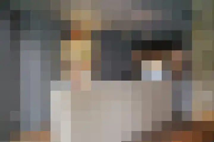 Van Hogendorplaan 15 Vlijmen thumbnail 19