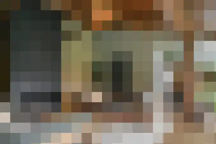 Van Hogendorplaan 15 Vlijmen thumbnail 21