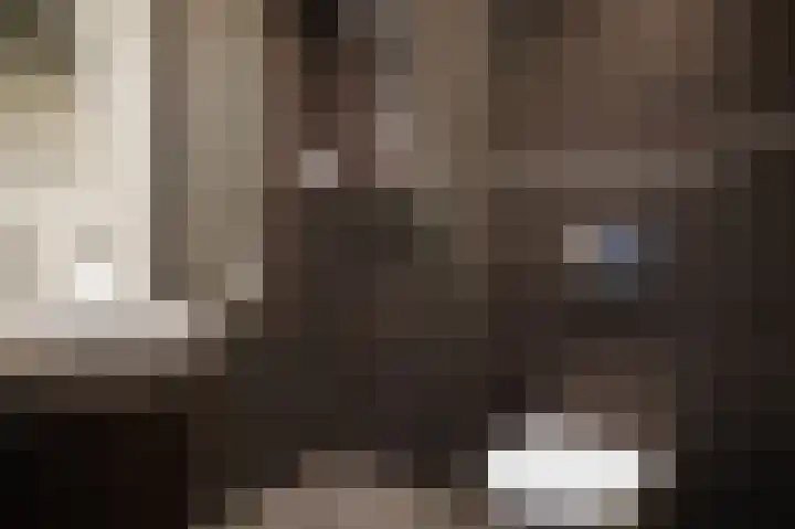Van Hogendorplaan 15 Vlijmen thumbnail 22