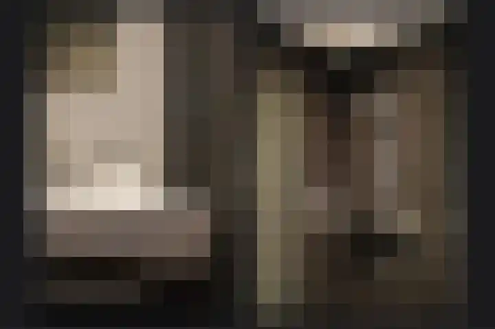 Van Hogendorplaan 15 Vlijmen thumbnail 23