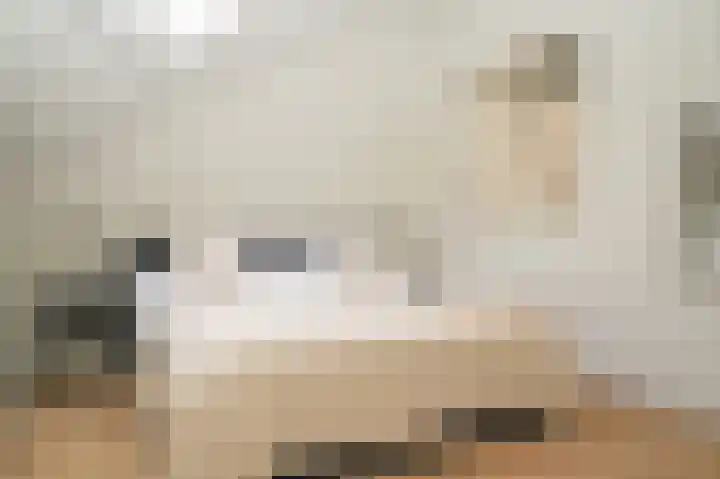 Van Hogendorplaan 15 Vlijmen thumbnail 26