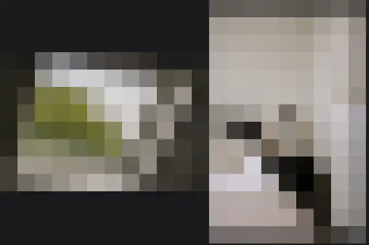 Van Hogendorplaan 15 Vlijmen thumbnail 27