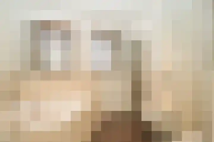 Van Hogendorplaan 15 Vlijmen thumbnail 29