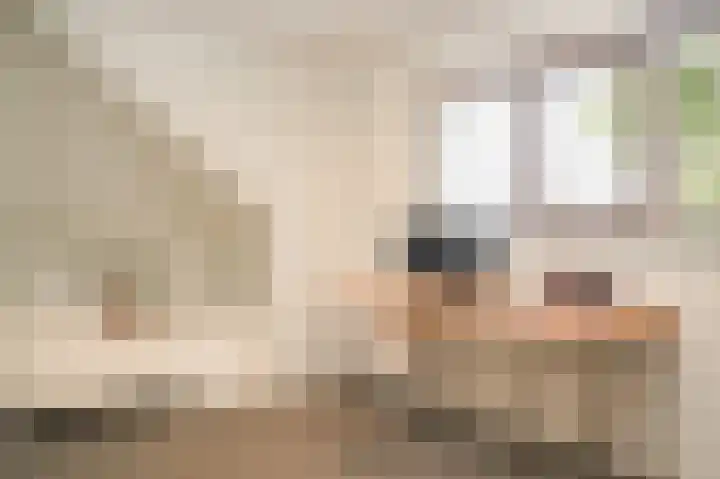 Van Hogendorplaan 15 Vlijmen thumbnail 32