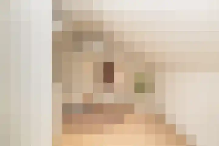 Van Hogendorplaan 15 Vlijmen thumbnail 35
