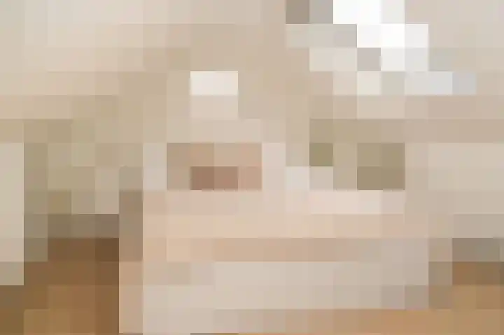 Van Hogendorplaan 15 Vlijmen thumbnail 36