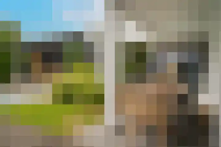 Van Hogendorplaan 15 Vlijmen thumbnail 41