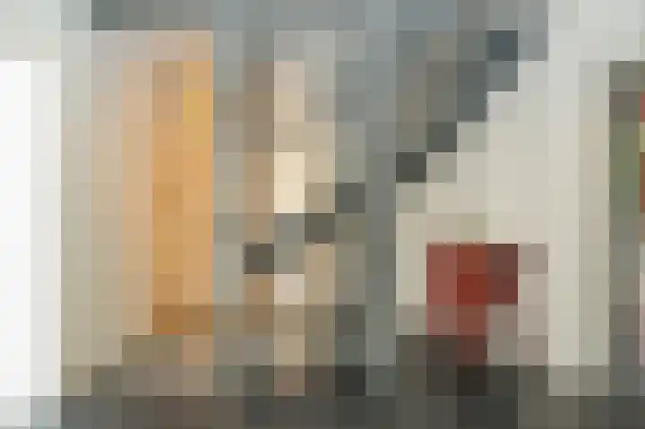 Van Hogendorplaan 15 Vlijmen thumbnail 6