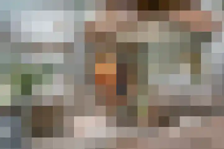 Van Hogendorplaan 15 Vlijmen thumbnail 7