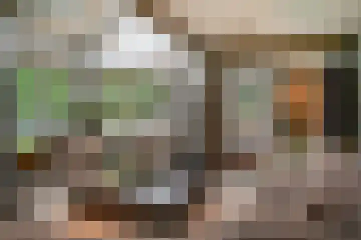 Van Hogendorplaan 15 Vlijmen thumbnail 8