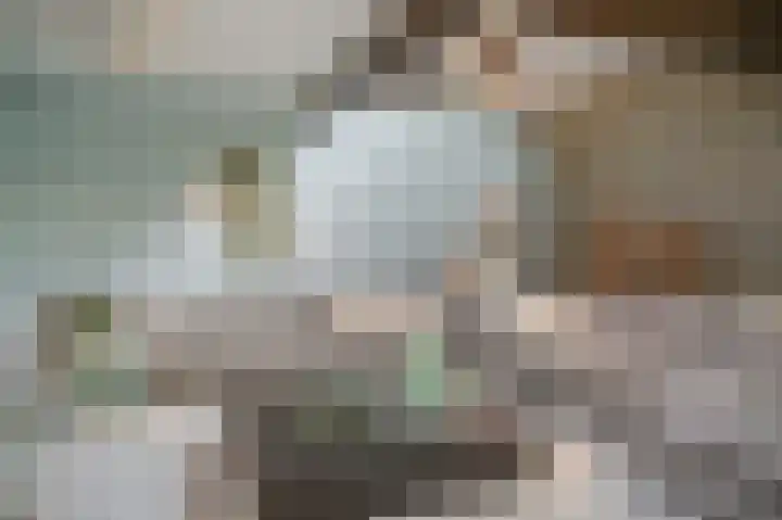 Van Hogendorplaan 15 Vlijmen thumbnail 9