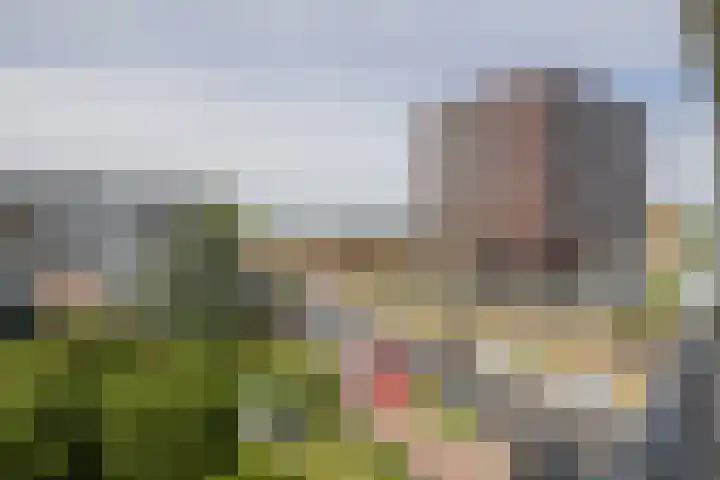 van Hogendorplaan 150 C Vlaardingen thumbnail 10
