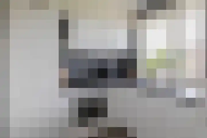 van Hogendorplaan 150 C Vlaardingen thumbnail 13