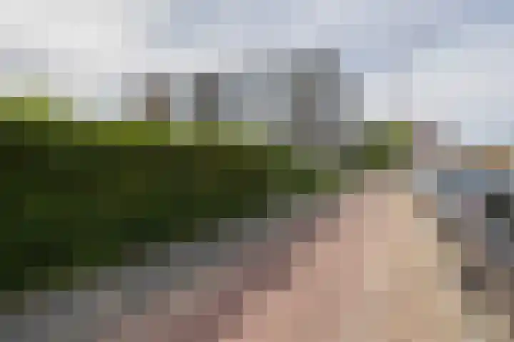van Hogendorplaan 150 C Vlaardingen thumbnail 31