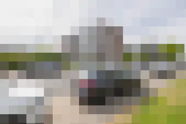 van Hogendorplaan 150 C Vlaardingen thumbnail 32