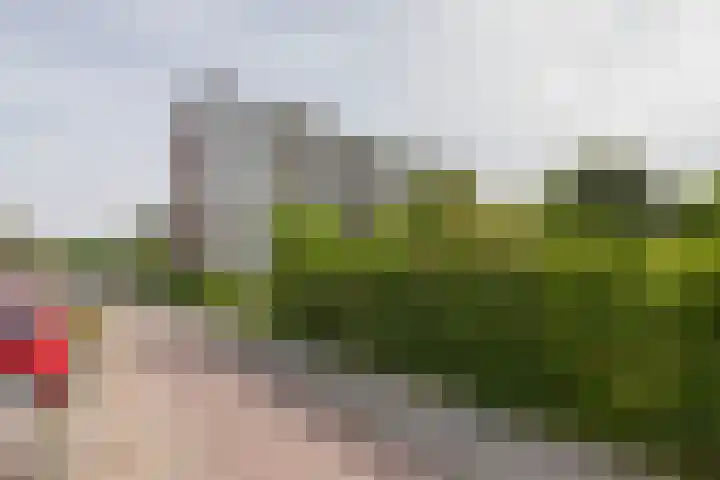 van Hogendorplaan 150 C Vlaardingen thumbnail 33
