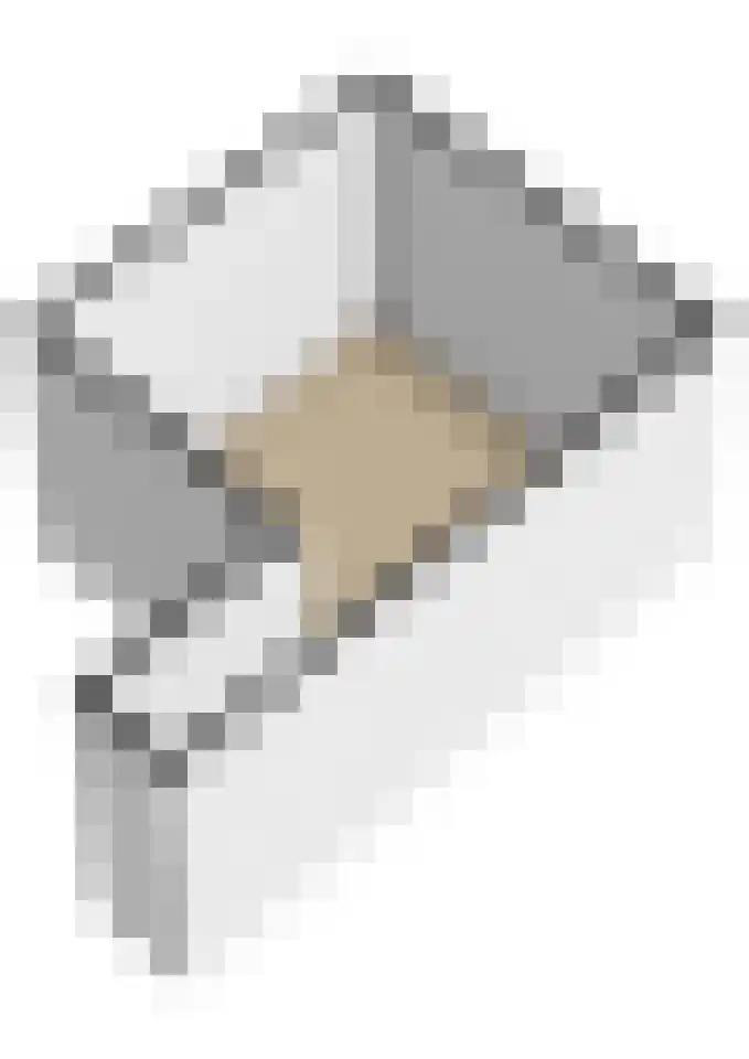 van Hogendorplaan 150 C Vlaardingen thumbnail 37