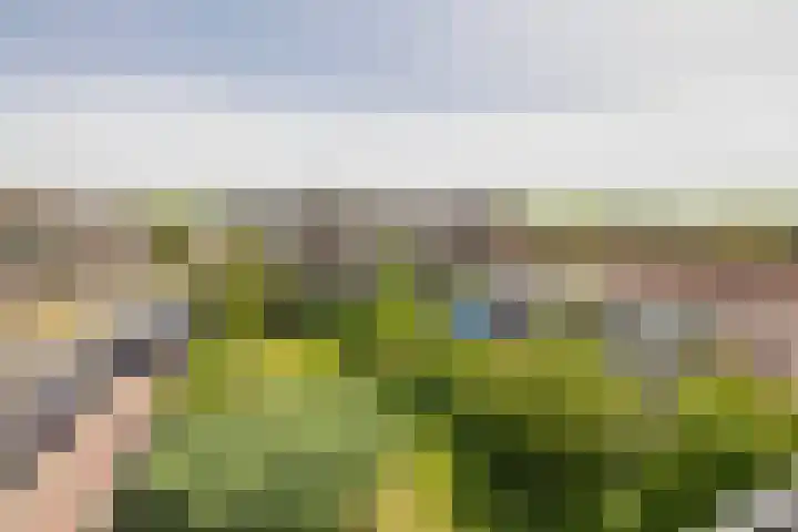 van Hogendorplaan 150 C Vlaardingen thumbnail 4
