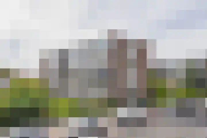 van Hogendorplaan 150 C Vlaardingen thumbnail 5