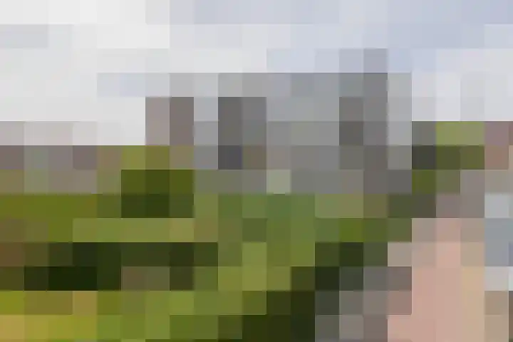 van Hogendorplaan 150 C Vlaardingen thumbnail 6