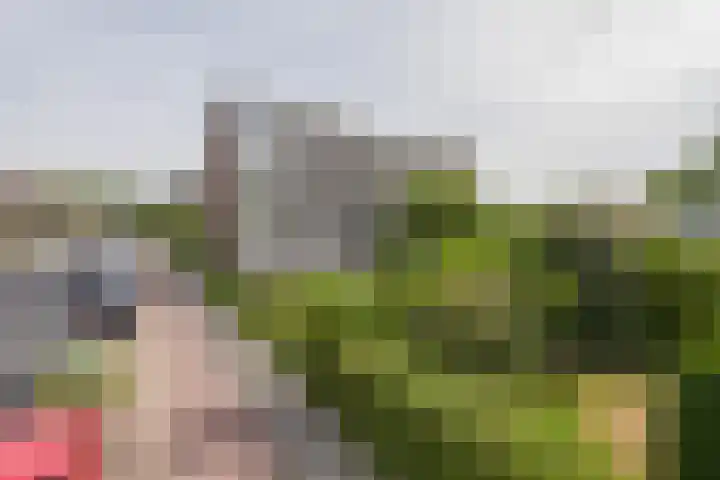 van Hogendorplaan 150 C Vlaardingen thumbnail 7