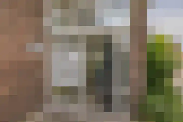 van Hogendorplaan 150 C Vlaardingen thumbnail 8