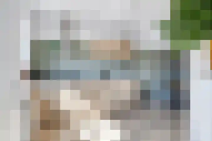 Van Hogendorplaan 17 Barneveld thumbnail 19
