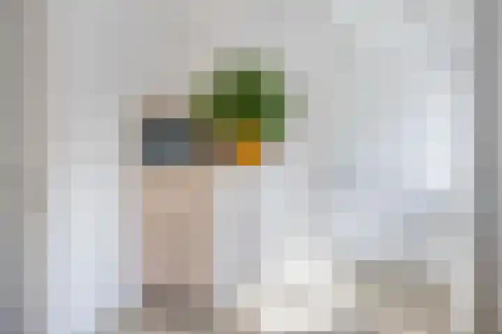 Van Hogendorplaan 17 Barneveld thumbnail 20