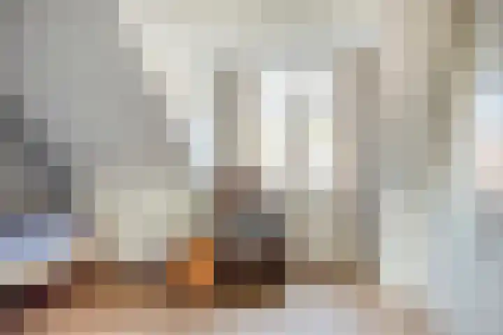 Van Hogendorplaan 17 Barneveld thumbnail 24