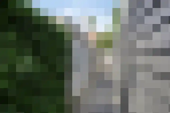 Van Hogendorplaan 17 Barneveld thumbnail 29