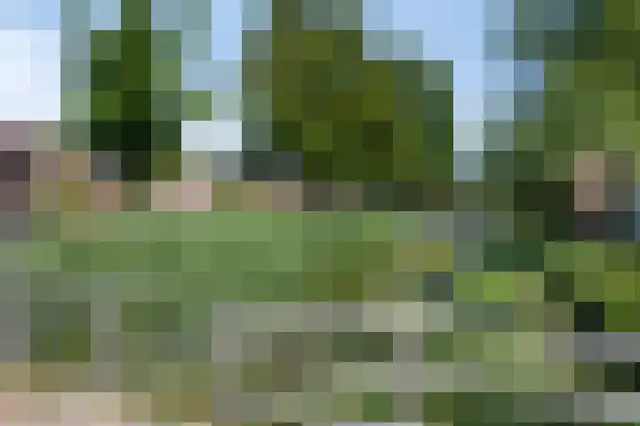 Van Hogendorplaan 17 Barneveld thumbnail 32