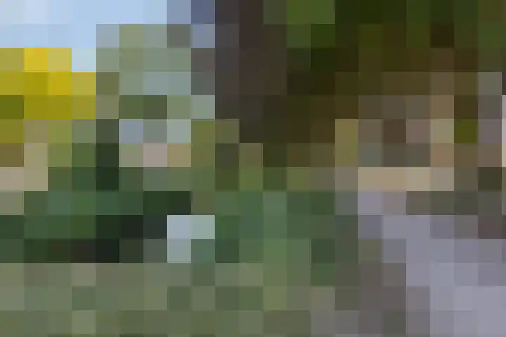 Van Hogendorplaan 17 Barneveld thumbnail 33