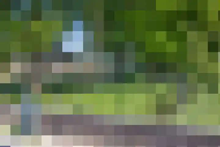 Van Hogendorplaan 17 Barneveld thumbnail 34