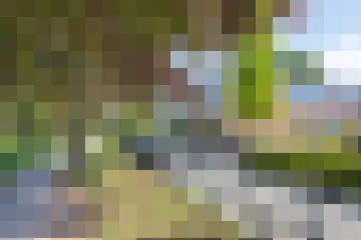 Van Hogendorplaan 17 Barneveld thumbnail 35