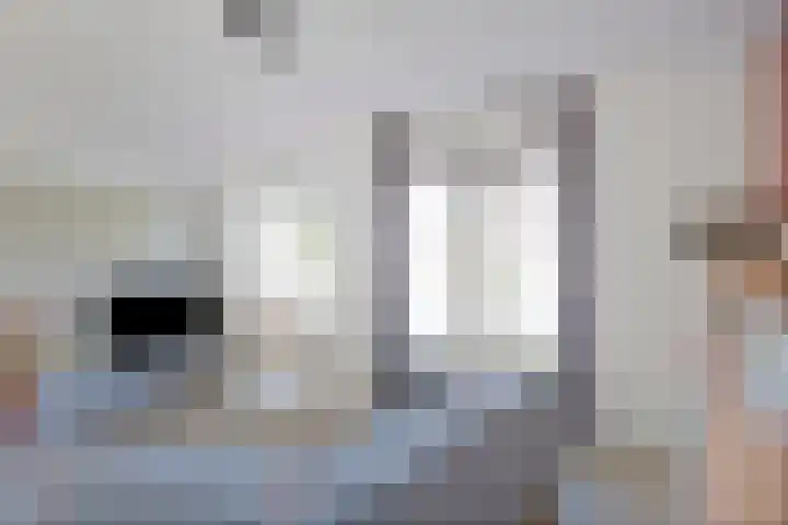 Van Hogendorplaan 17 Barneveld thumbnail 7