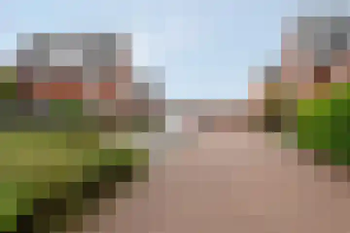 Van Hogendorplaan 19 Barneveld thumbnail 35